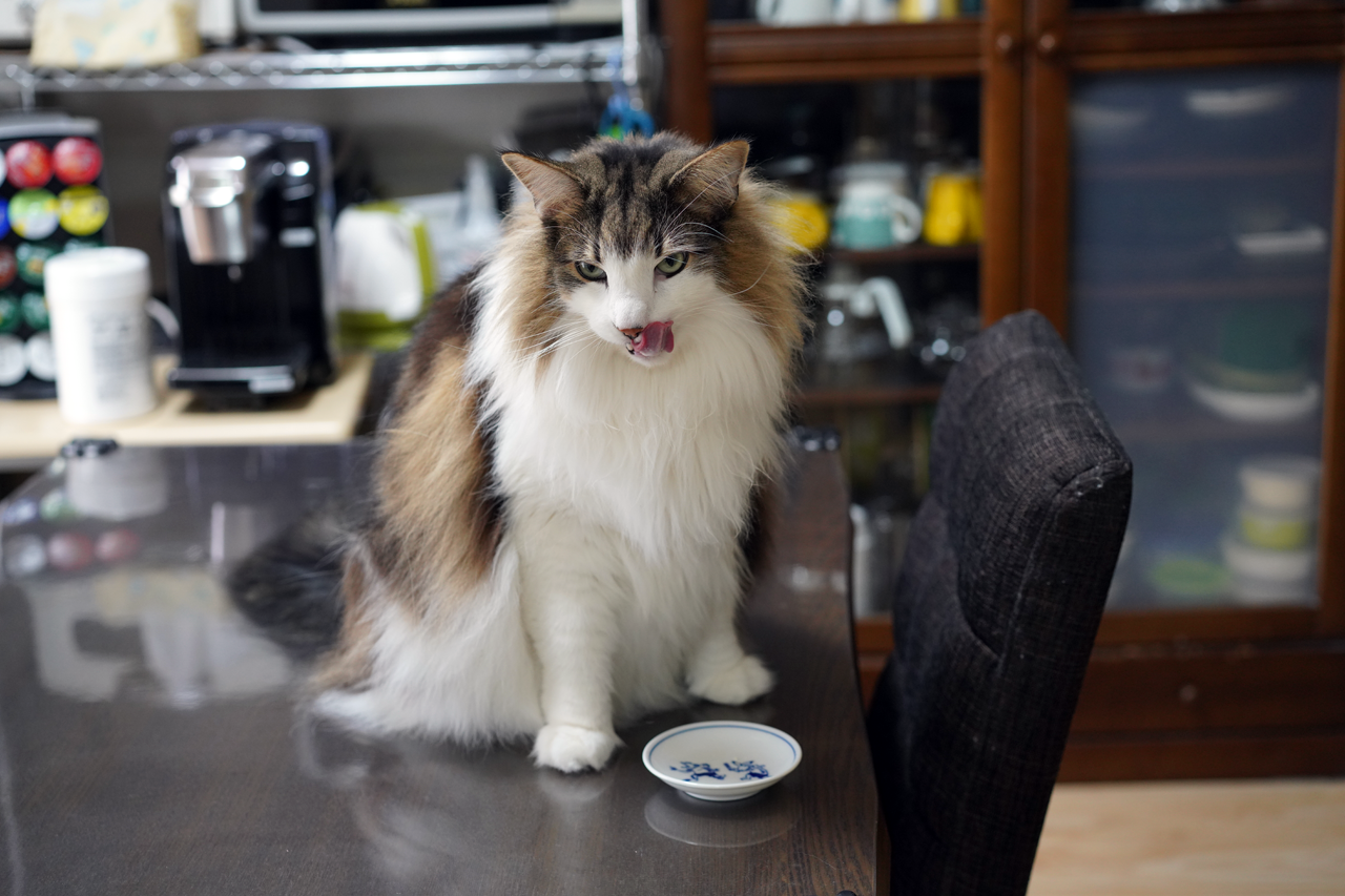 f:id:kazuhiro0214:20210320000738p:plain