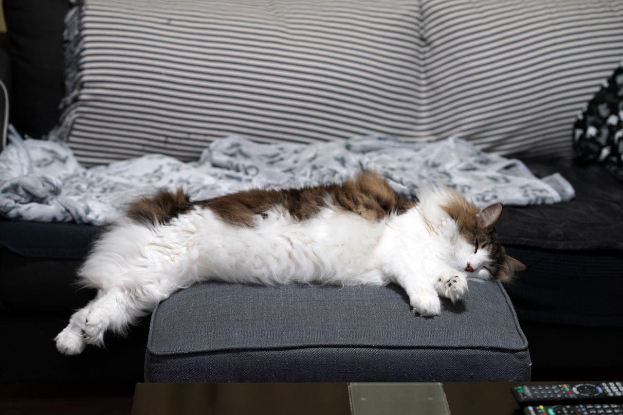 f:id:kazuhiro0214:20210402232537p:plain