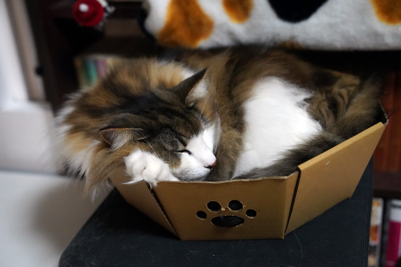 f:id:kazuhiro0214:20210402233125p:plain