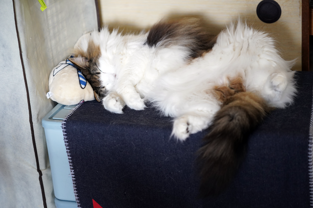 f:id:kazuhiro0214:20210402233330p:plain