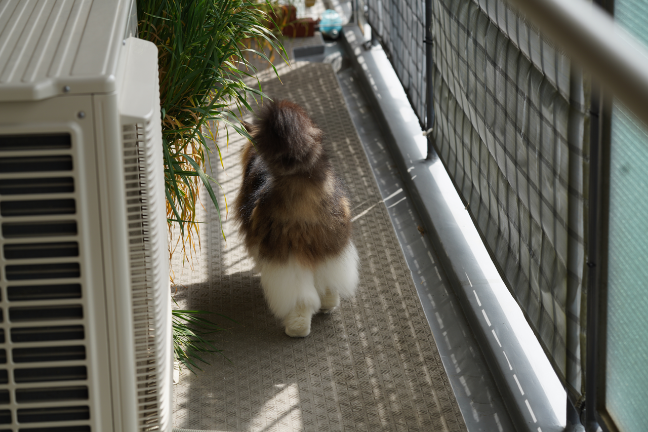 f:id:kazuhiro0214:20210404221711p:plain