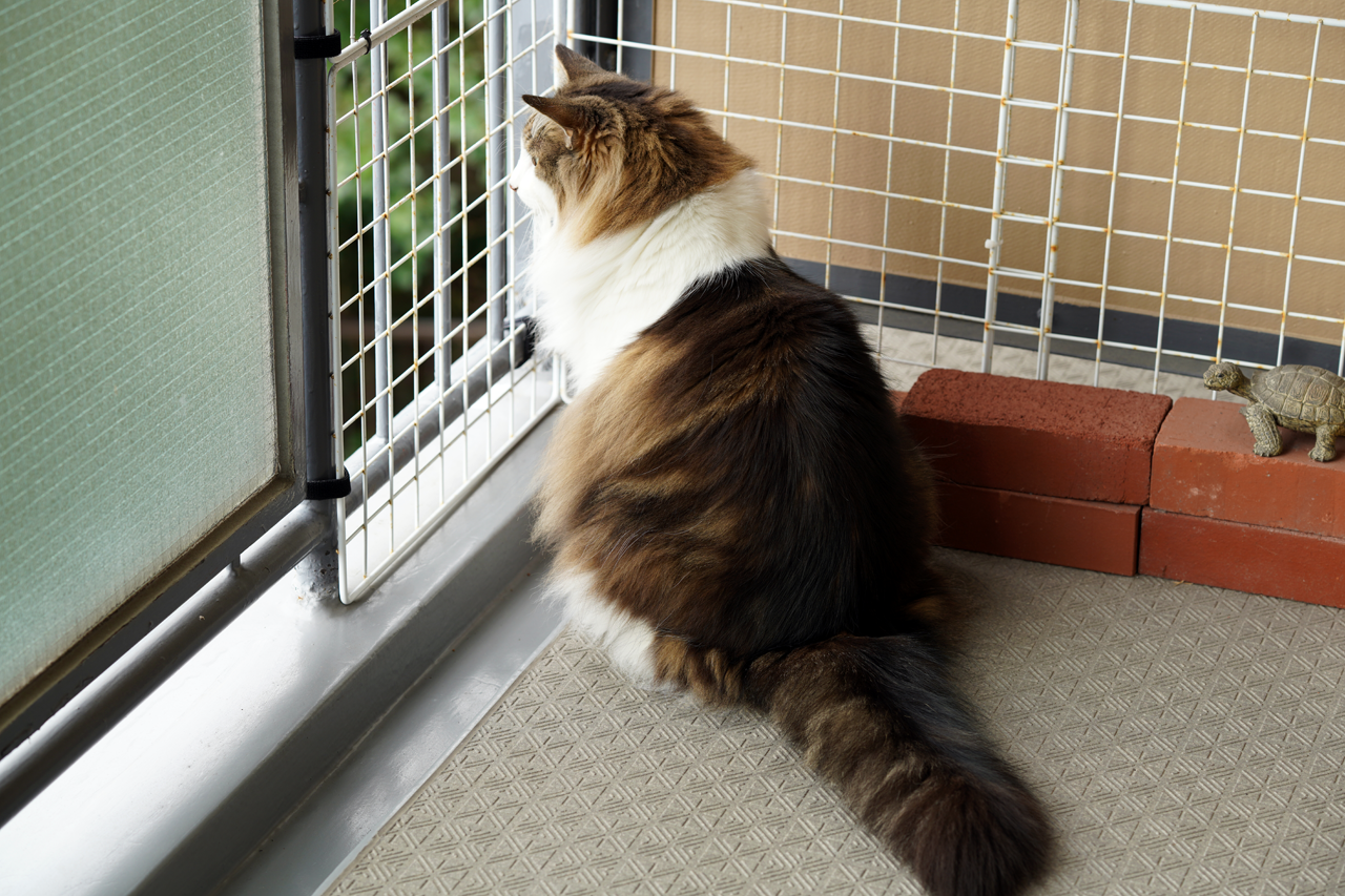 f:id:kazuhiro0214:20210404221816p:plain