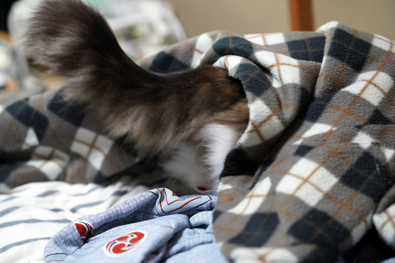 f:id:kazuhiro0214:20210411004733p:plain