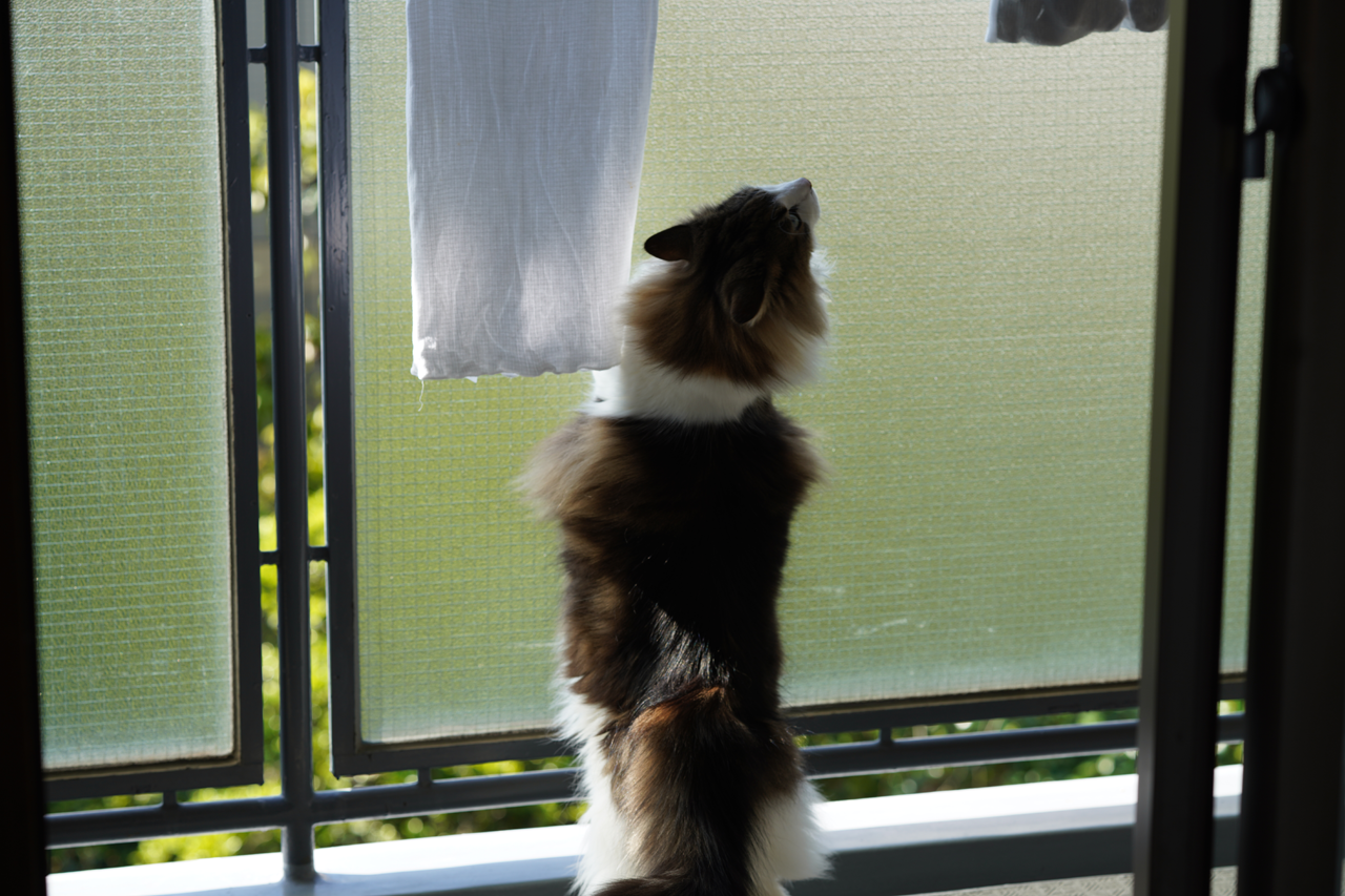 f:id:kazuhiro0214:20210414232744p:plain