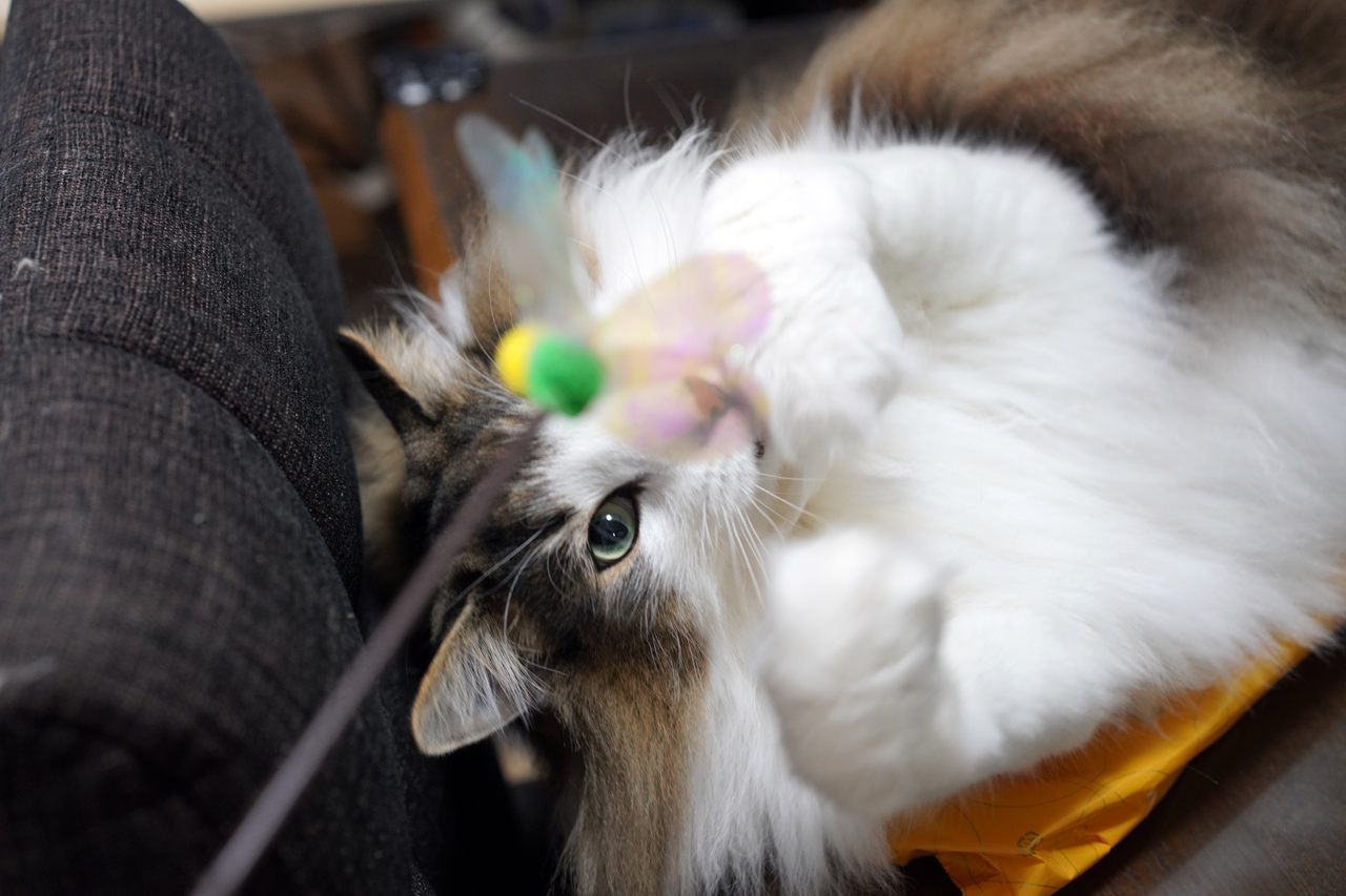 f:id:kazuhiro0214:20210418223521p:plain