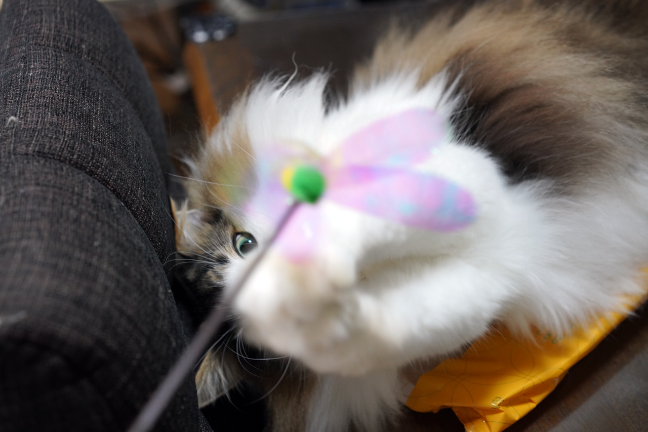 f:id:kazuhiro0214:20210418223544p:plain