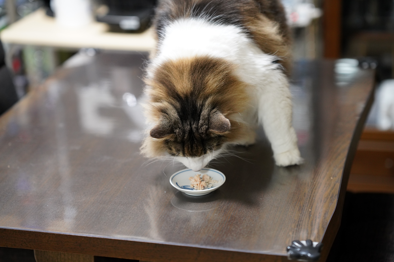 f:id:kazuhiro0214:20210422232306p:plain