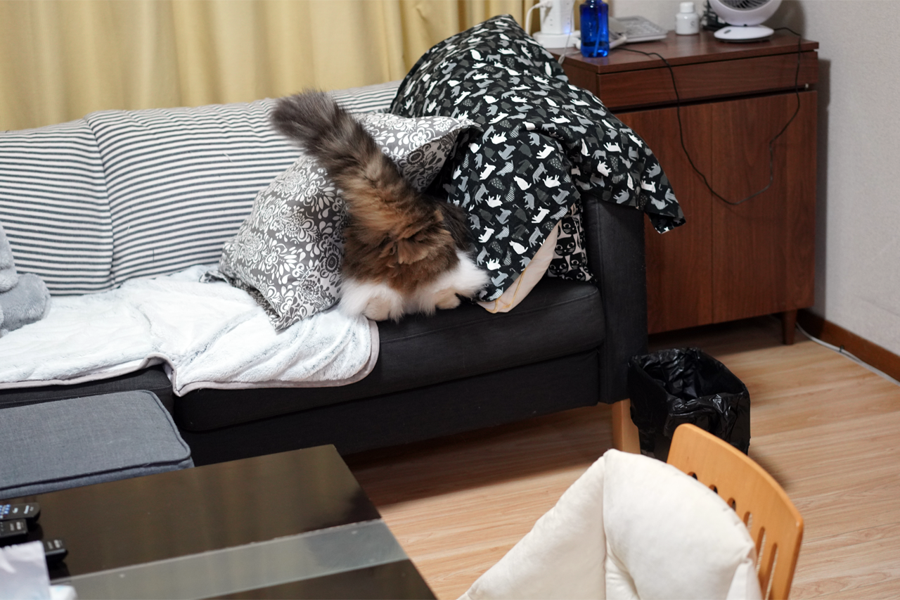 f:id:kazuhiro0214:20210430224619p:plain