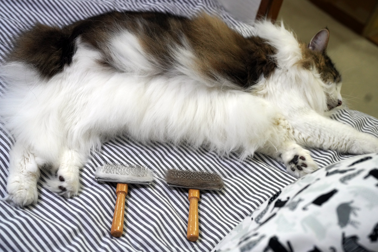 f:id:kazuhiro0214:20210430224713p:plain