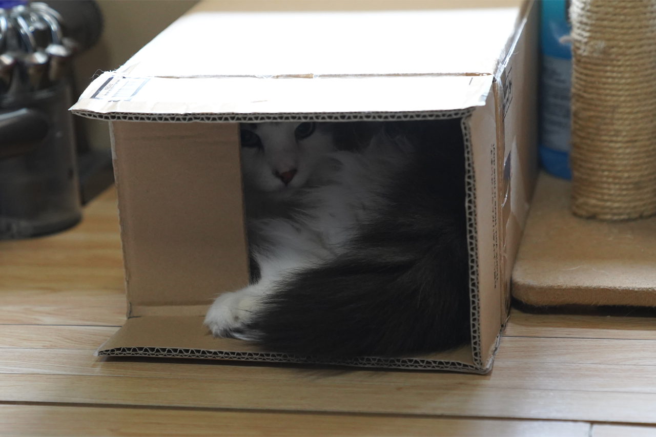 f:id:kazuhiro0214:20210506232300p:plain