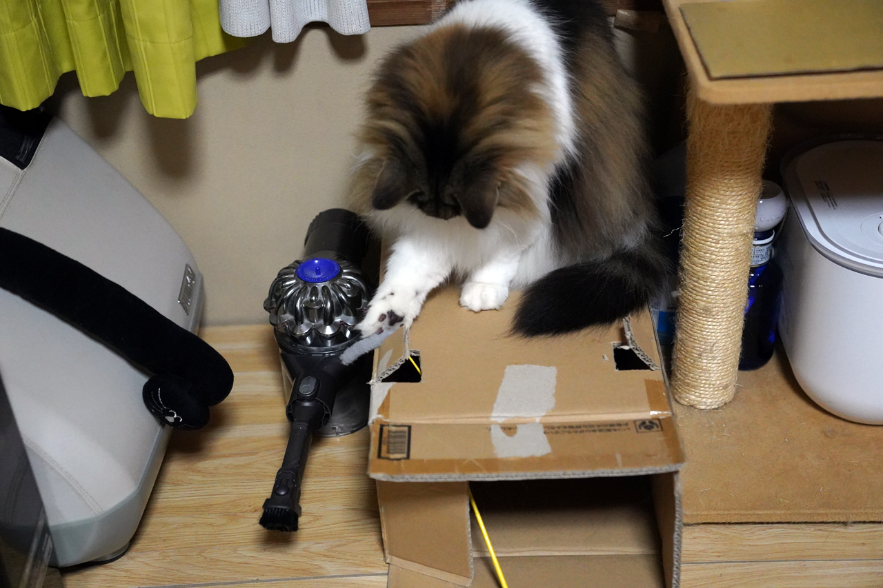 f:id:kazuhiro0214:20210506232331p:plain