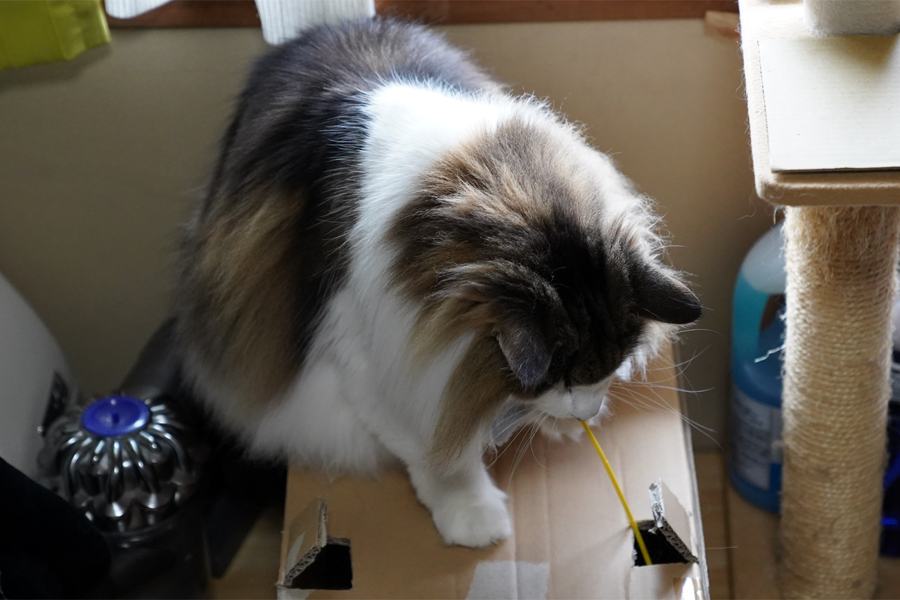 f:id:kazuhiro0214:20210506232406p:plain