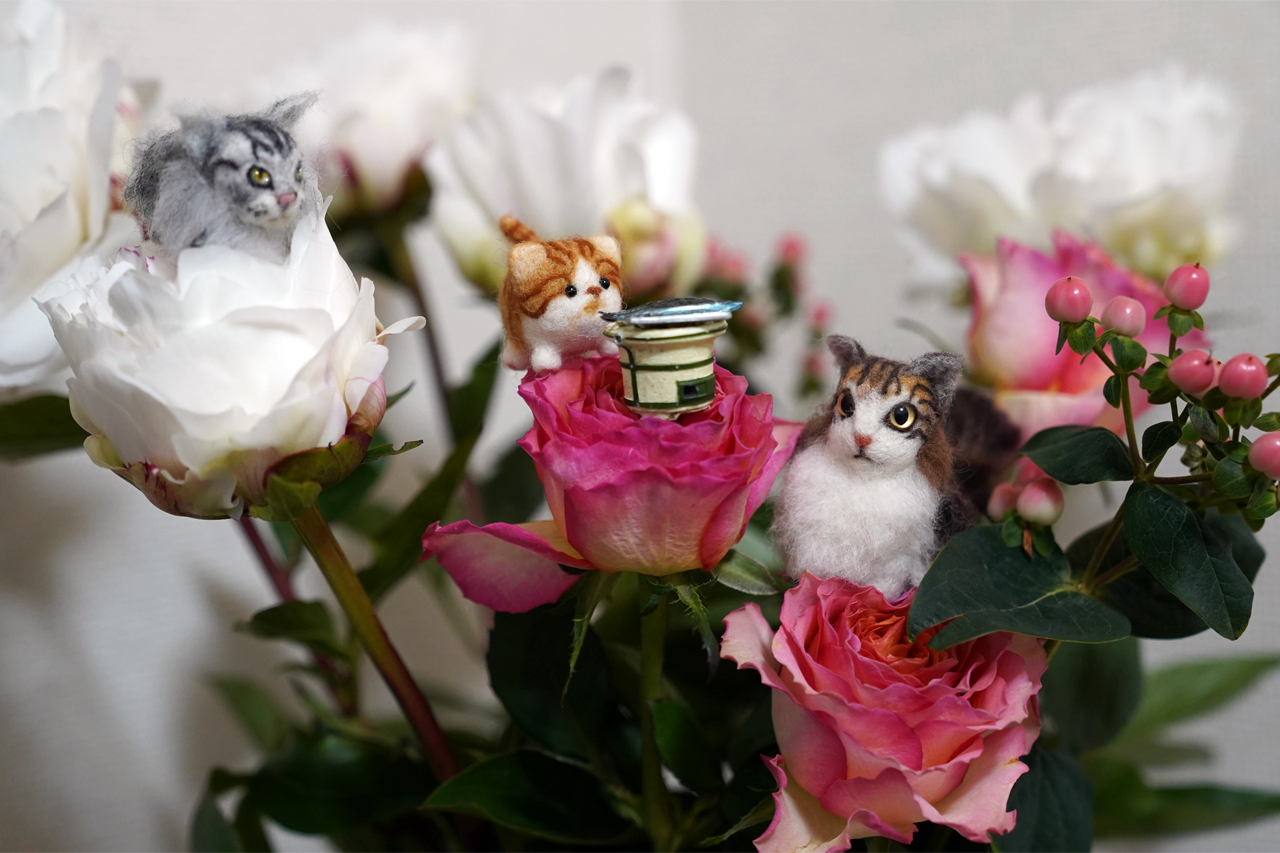 f:id:kazuhiro0214:20210506232432p:plain