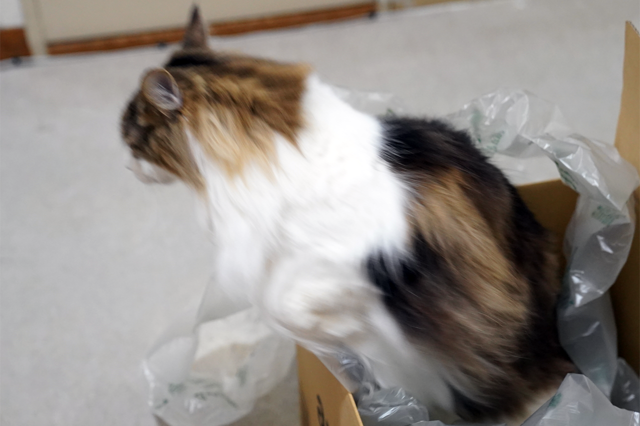 f:id:kazuhiro0214:20210512221252p:plain