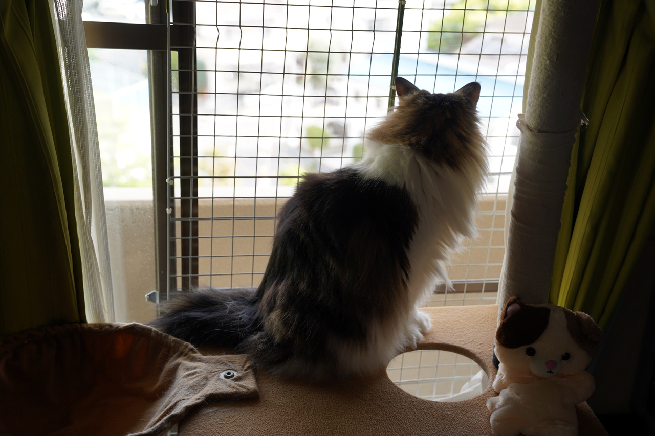f:id:kazuhiro0214:20210526232817p:plain