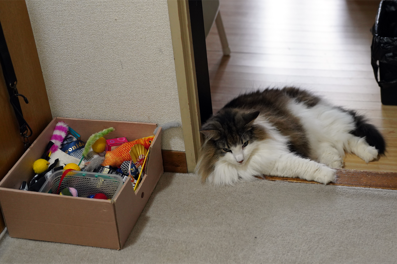 f:id:kazuhiro0214:20210601232144p:plain