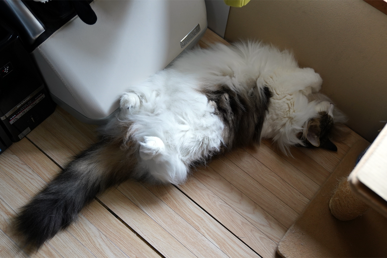 f:id:kazuhiro0214:20210609232708p:plain