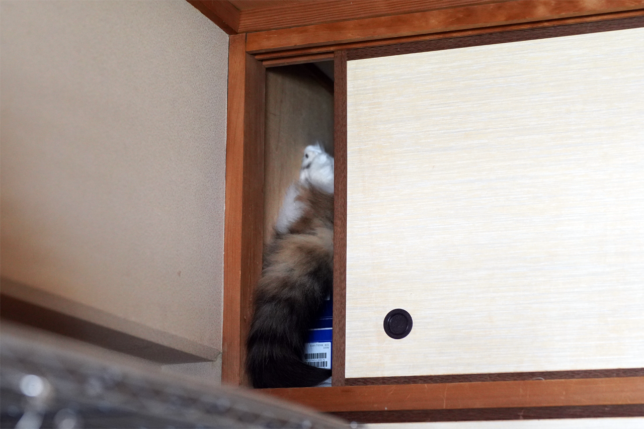 f:id:kazuhiro0214:20210615224428p:plain