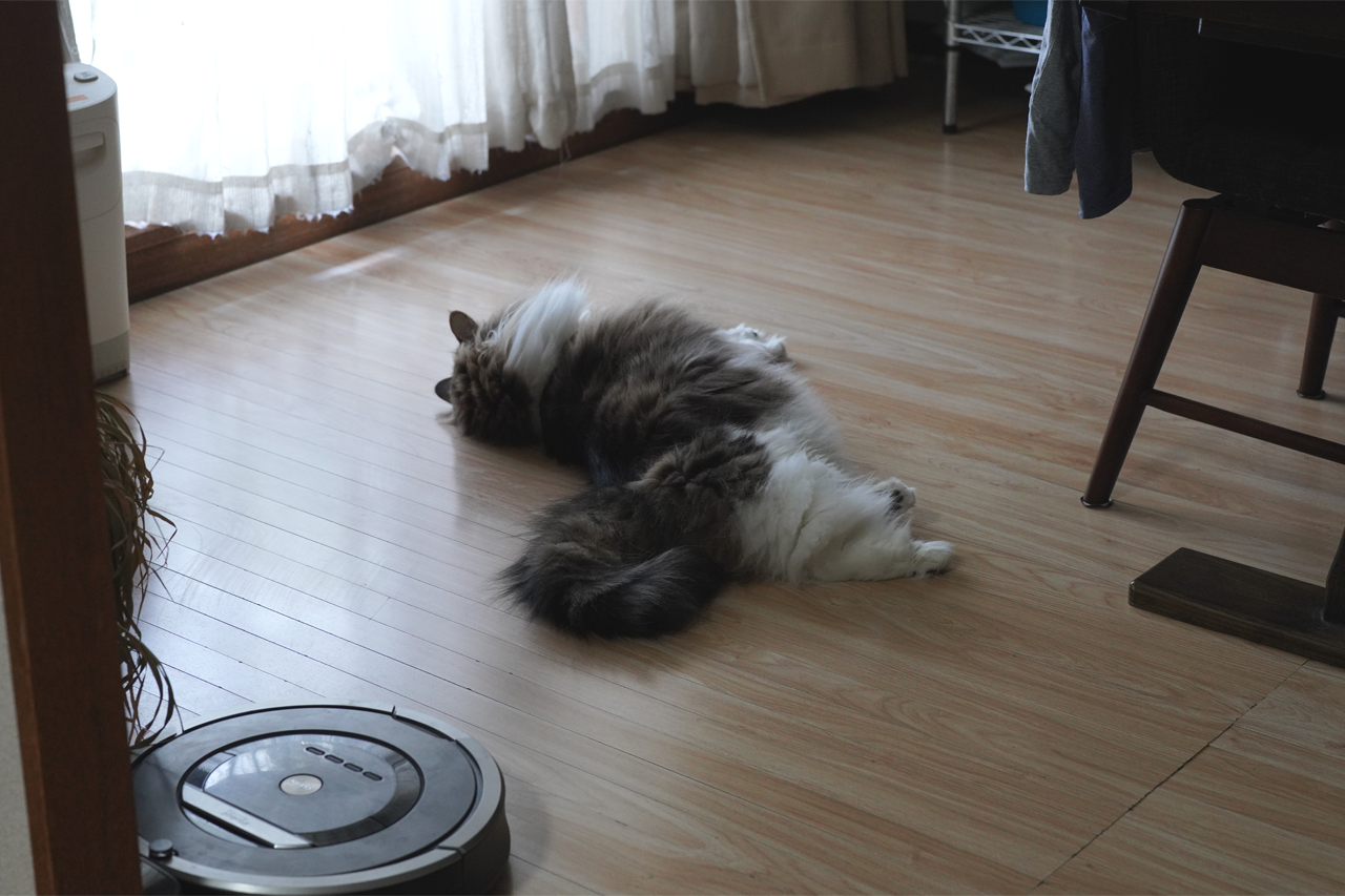 f:id:kazuhiro0214:20210617223301p:plain