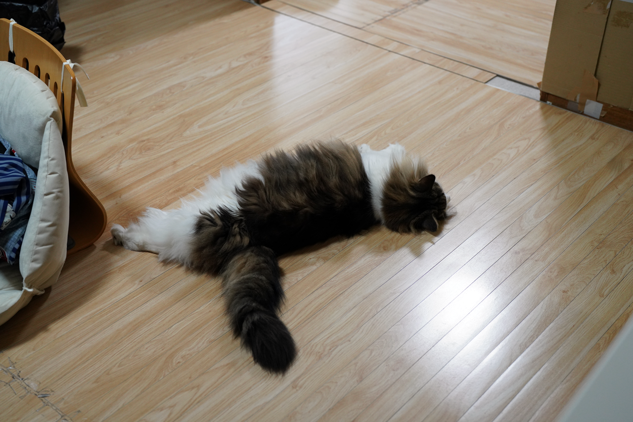 f:id:kazuhiro0214:20210617223343p:plain