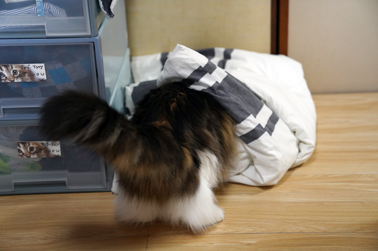 f:id:kazuhiro0214:20210617223553p:plain