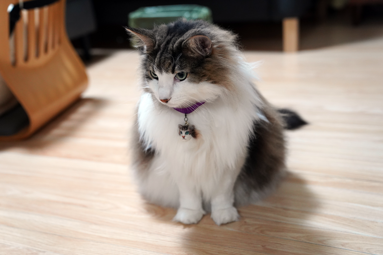 f:id:kazuhiro0214:20210621222043p:plain