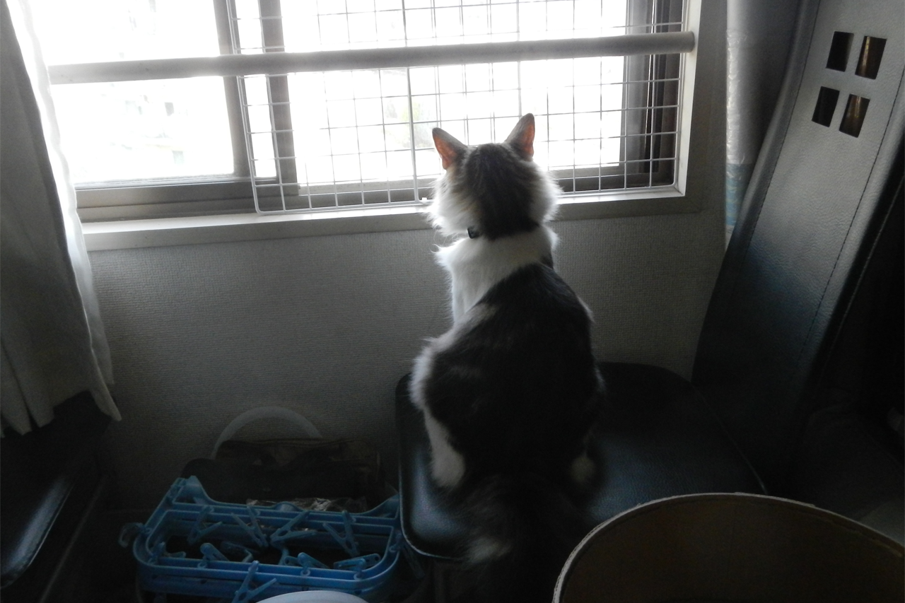 f:id:kazuhiro0214:20210628223544p:plain
