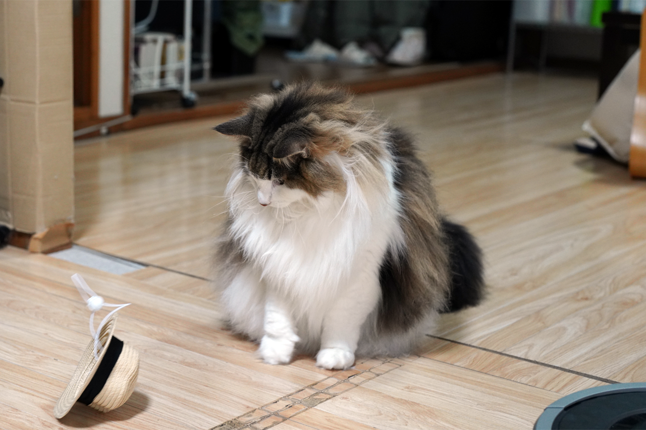 f:id:kazuhiro0214:20210704212226p:plain