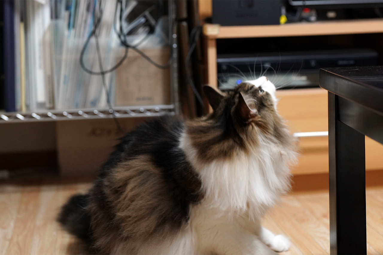 f:id:kazuhiro0214:20210708230517p:plain
