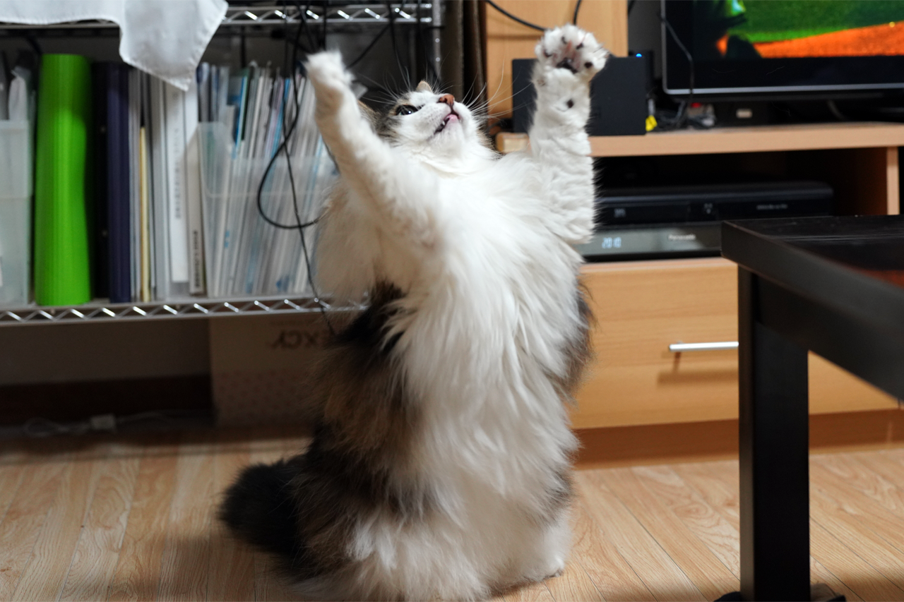 f:id:kazuhiro0214:20210708230551p:plain