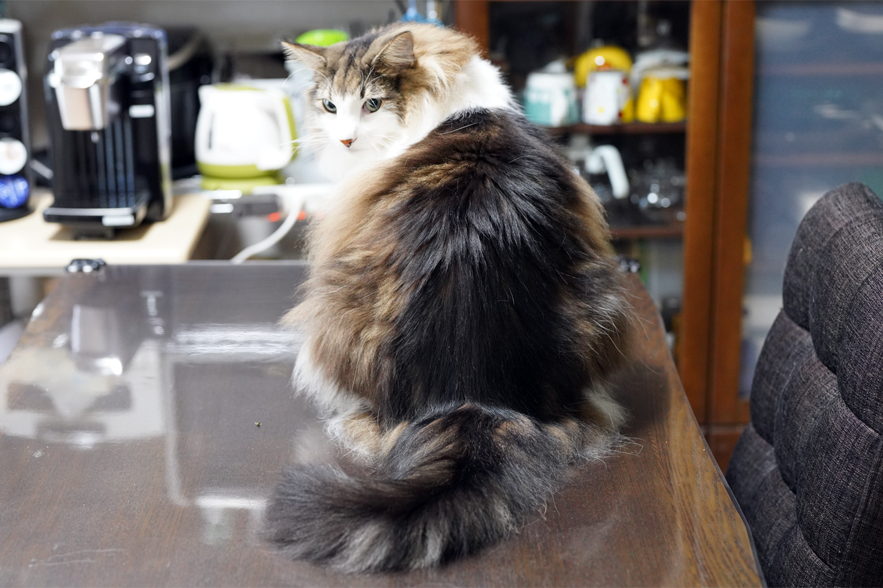 f:id:kazuhiro0214:20210801212602p:plain