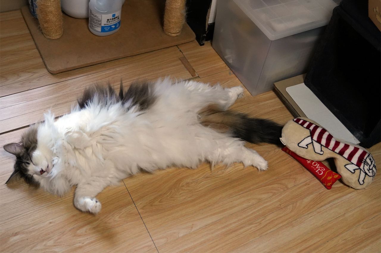 f:id:kazuhiro0214:20210823231745p:plain