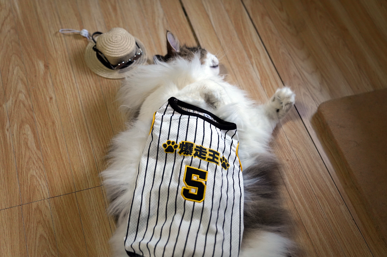 f:id:kazuhiro0214:20210823231811p:plain