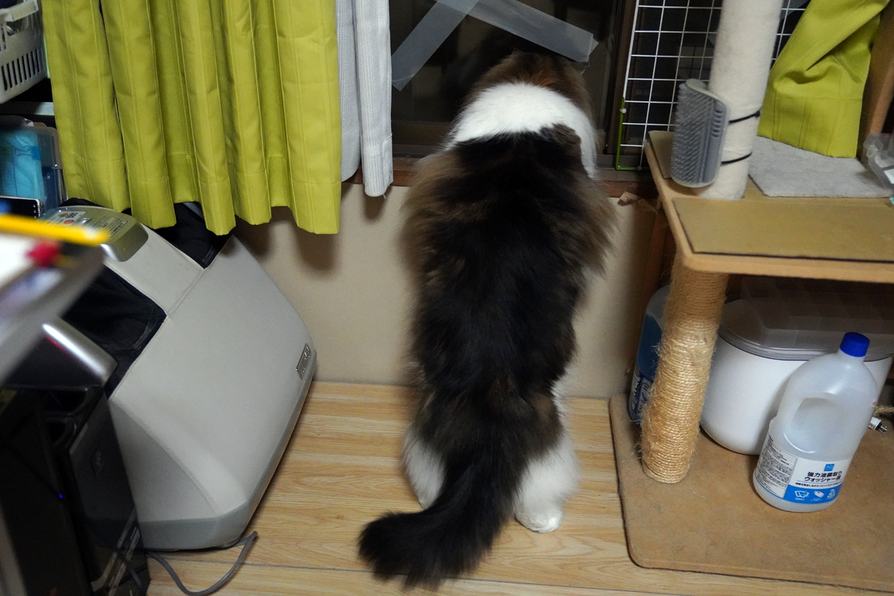 f:id:kazuhiro0214:20210827235757p:plain