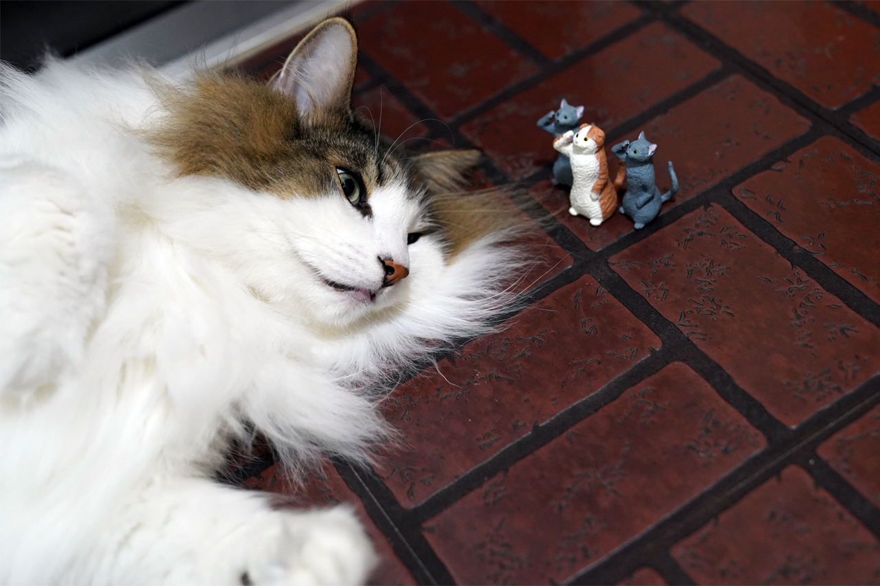 f:id:kazuhiro0214:20210831230438p:plain