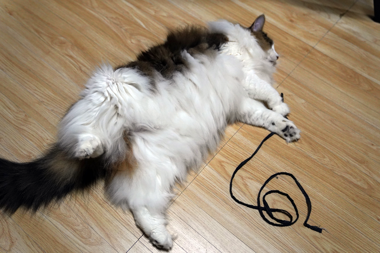 f:id:kazuhiro0214:20210831230505p:plain