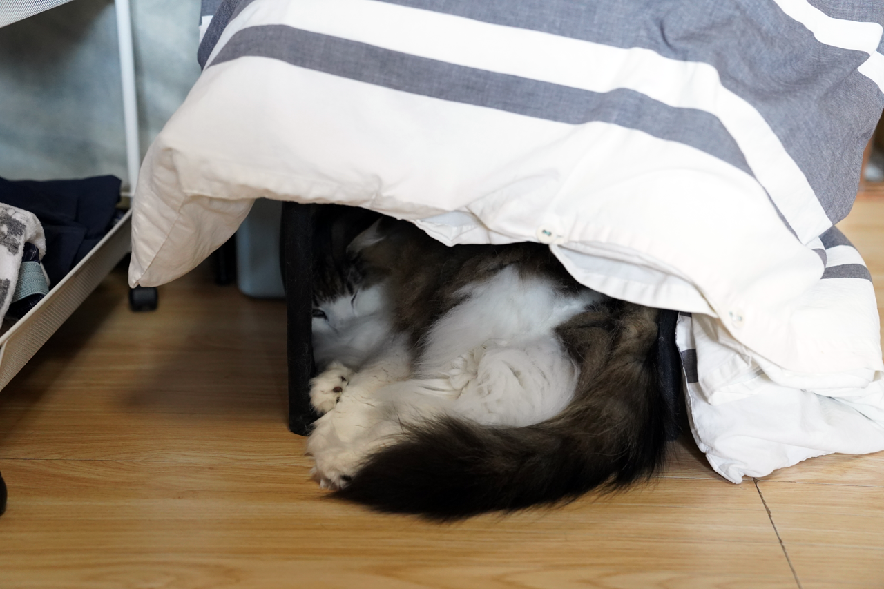 f:id:kazuhiro0214:20210831230639p:plain