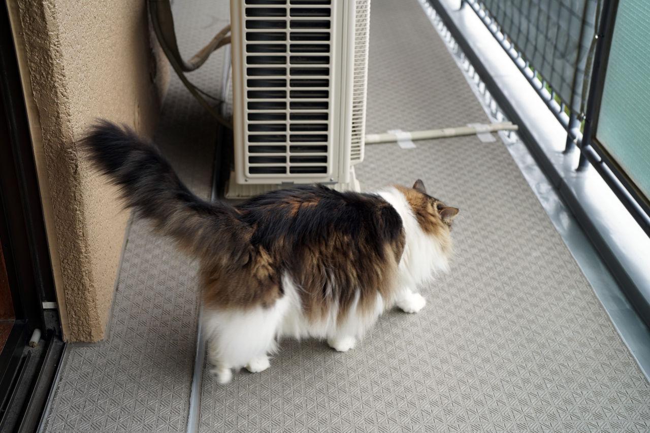 f:id:kazuhiro0214:20210922222126p:plain
