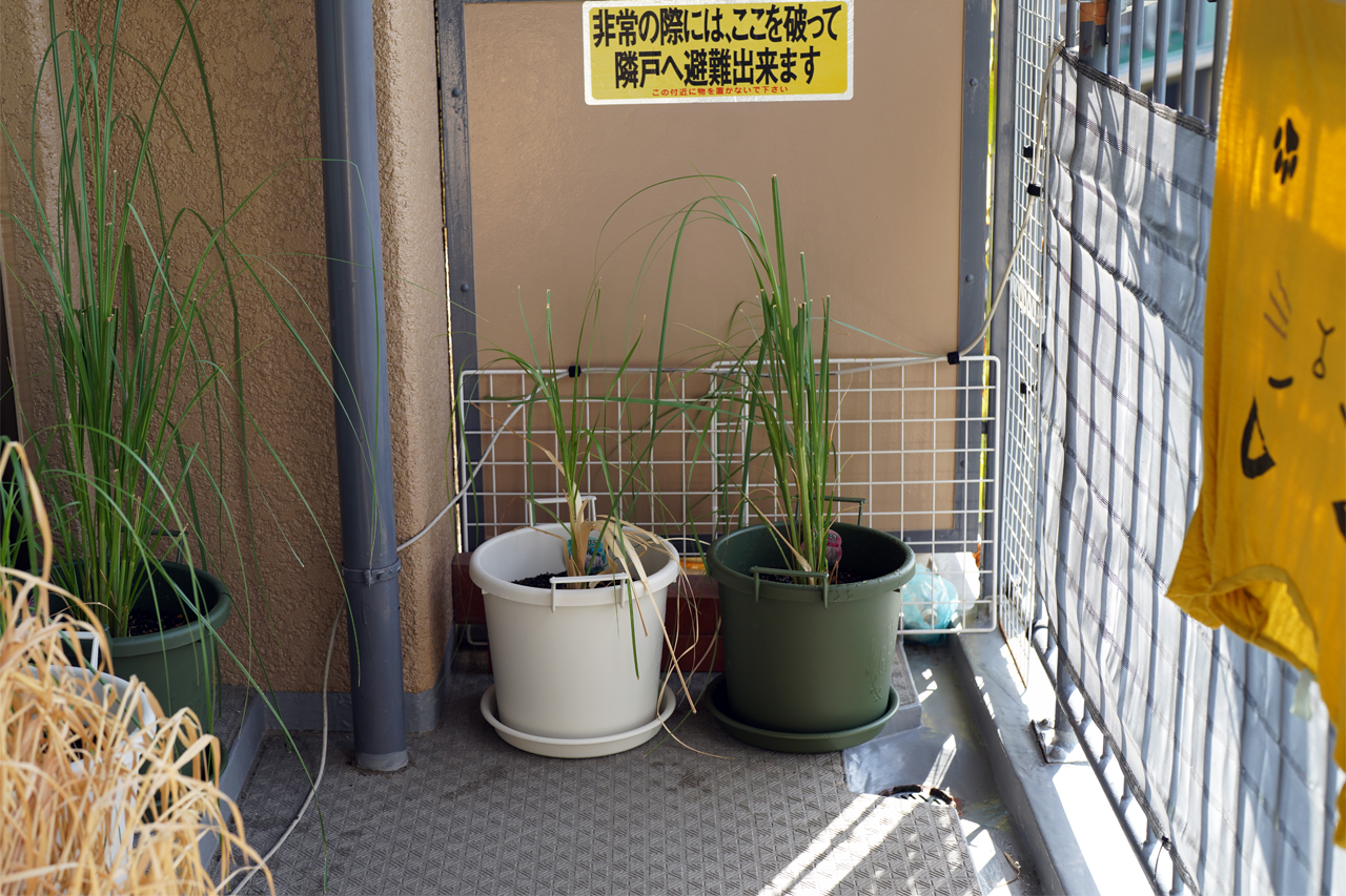 f:id:kazuhiro0214:20211006224124p:plain