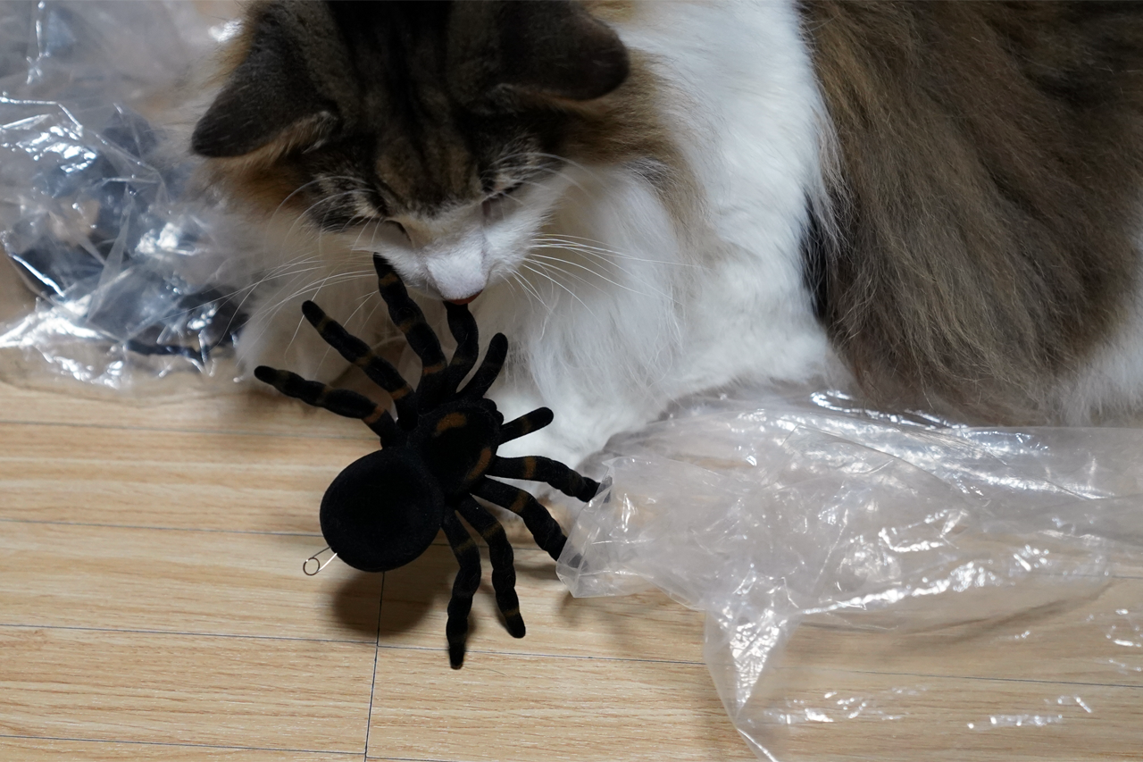 f:id:kazuhiro0214:20211006224354p:plain