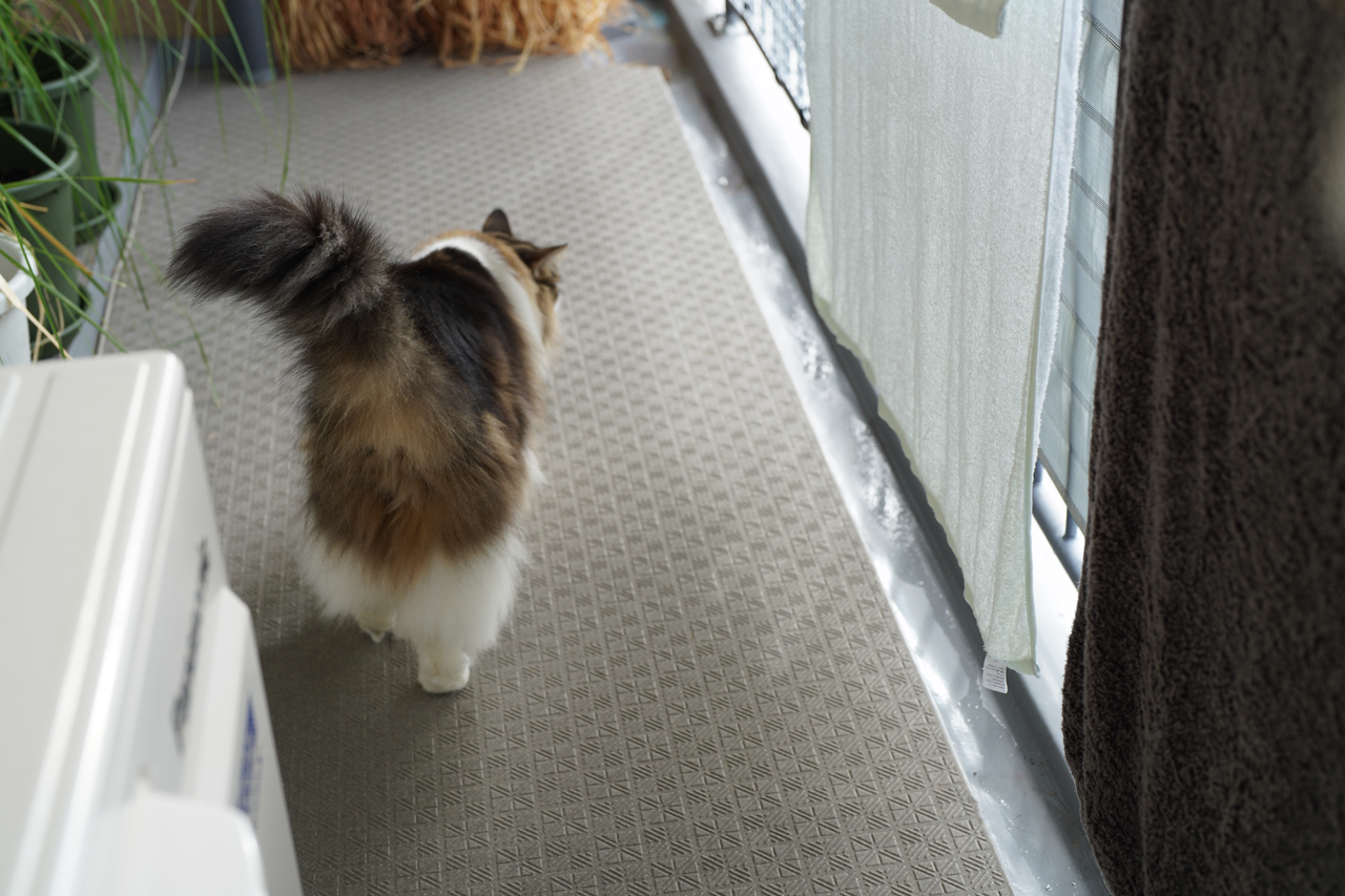 f:id:kazuhiro0214:20211018232515p:plain