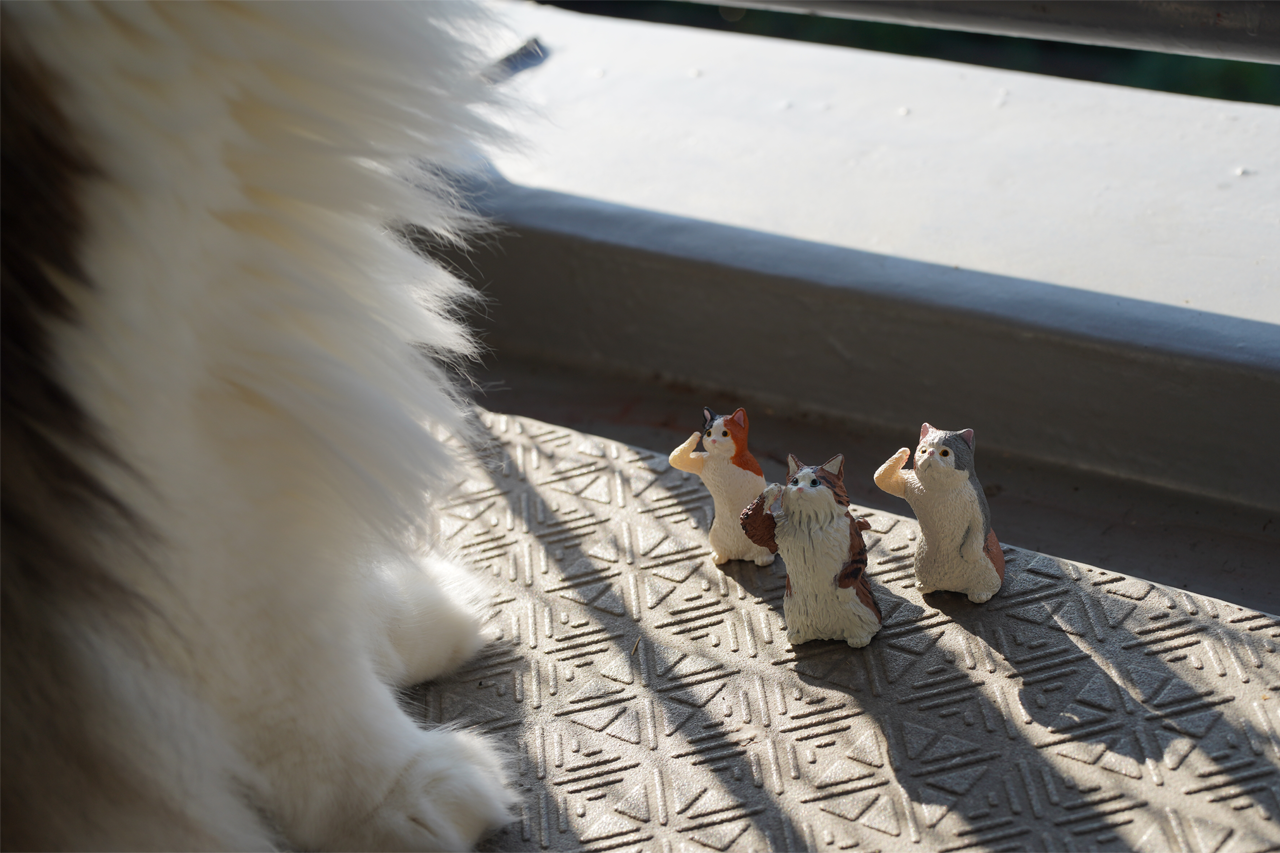 f:id:kazuhiro0214:20211018232911p:plain