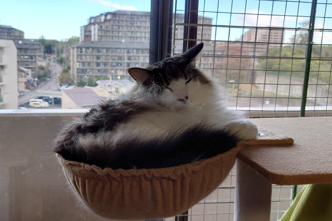 f:id:kazuhiro0214:20211111232129p:plain