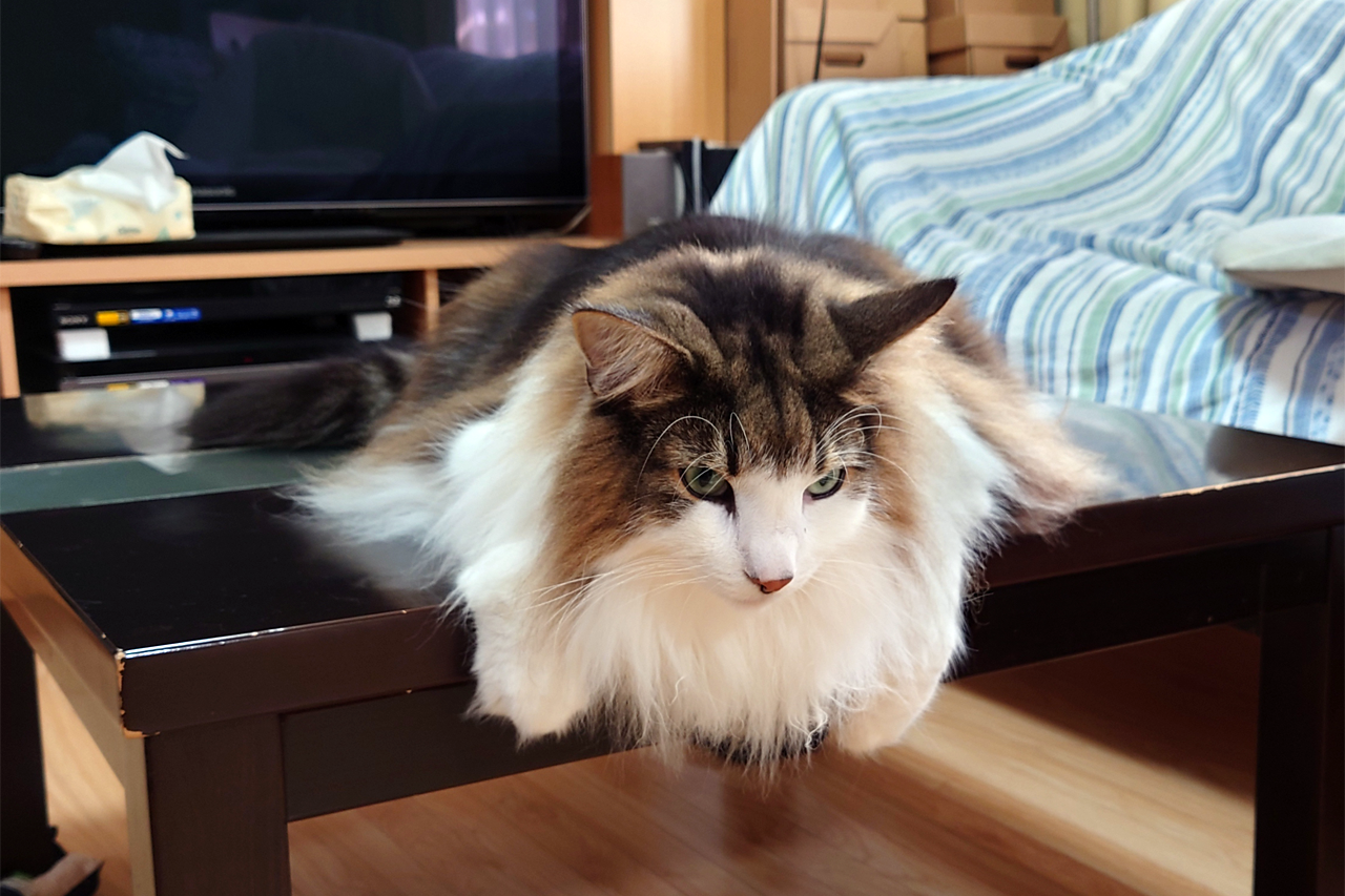 f:id:kazuhiro0214:20211111232853p:plain