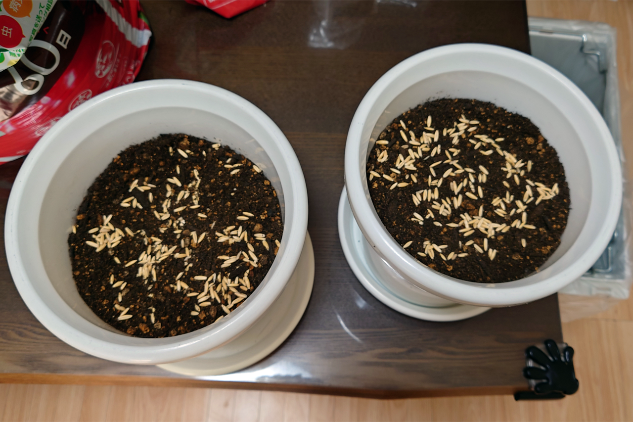 f:id:kazuhiro0214:20211115231241p:plain