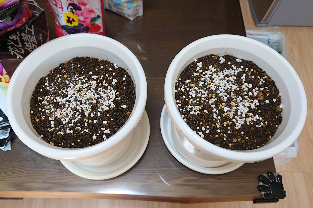 f:id:kazuhiro0214:20211115231314p:plain