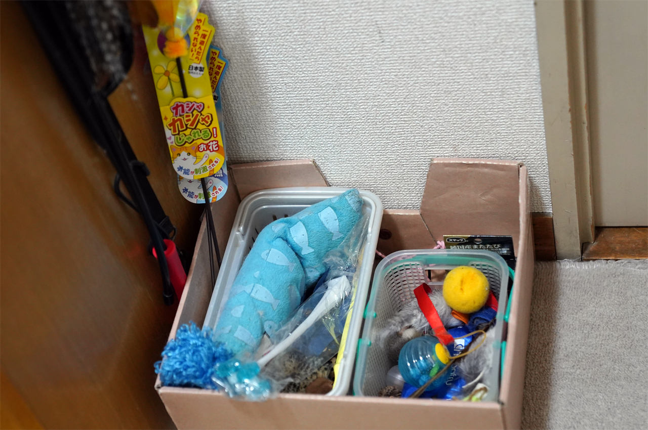 f:id:kazuhiro0214:20211117230521p:plain
