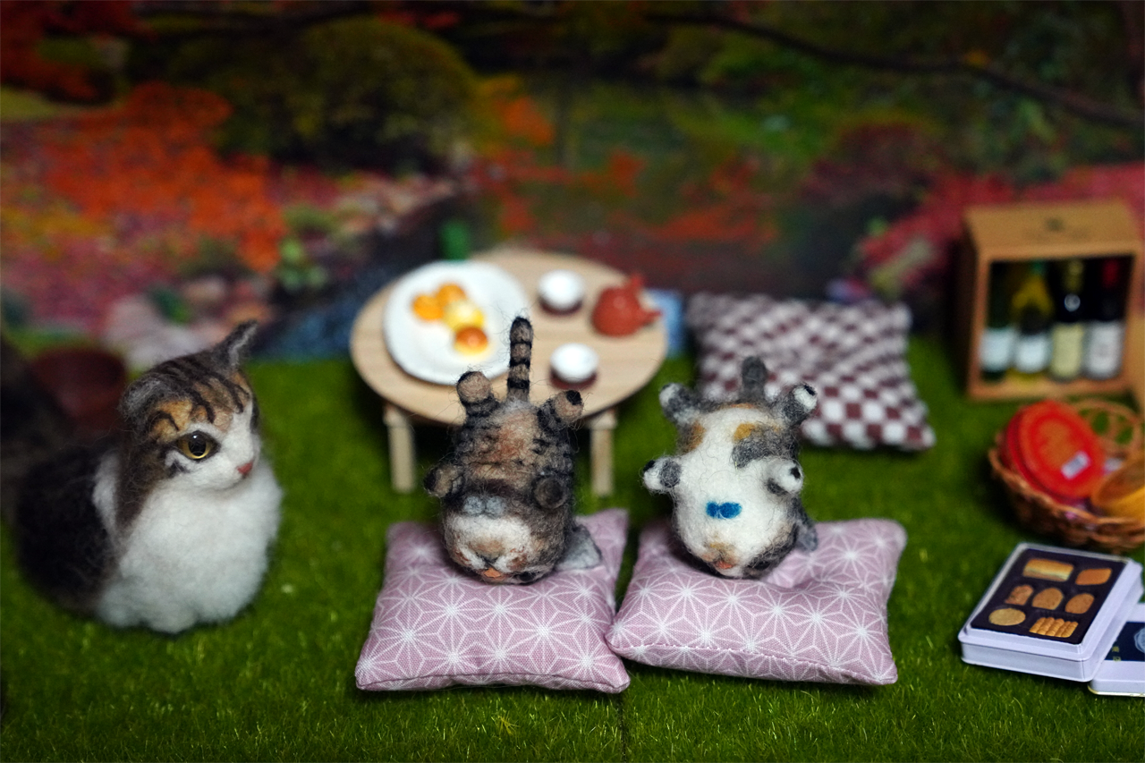 f:id:kazuhiro0214:20211123230424p:plain