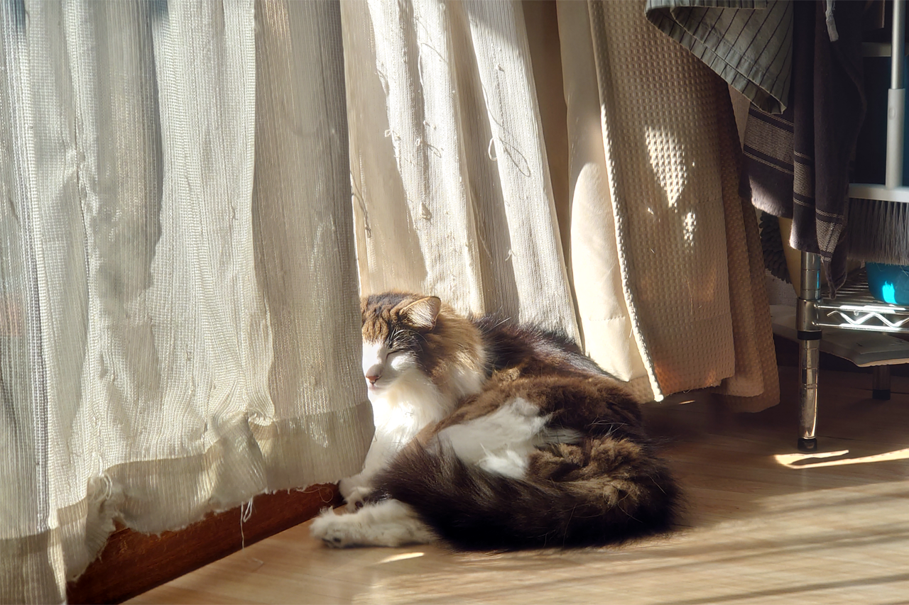 f:id:kazuhiro0214:20211129223525p:plain
