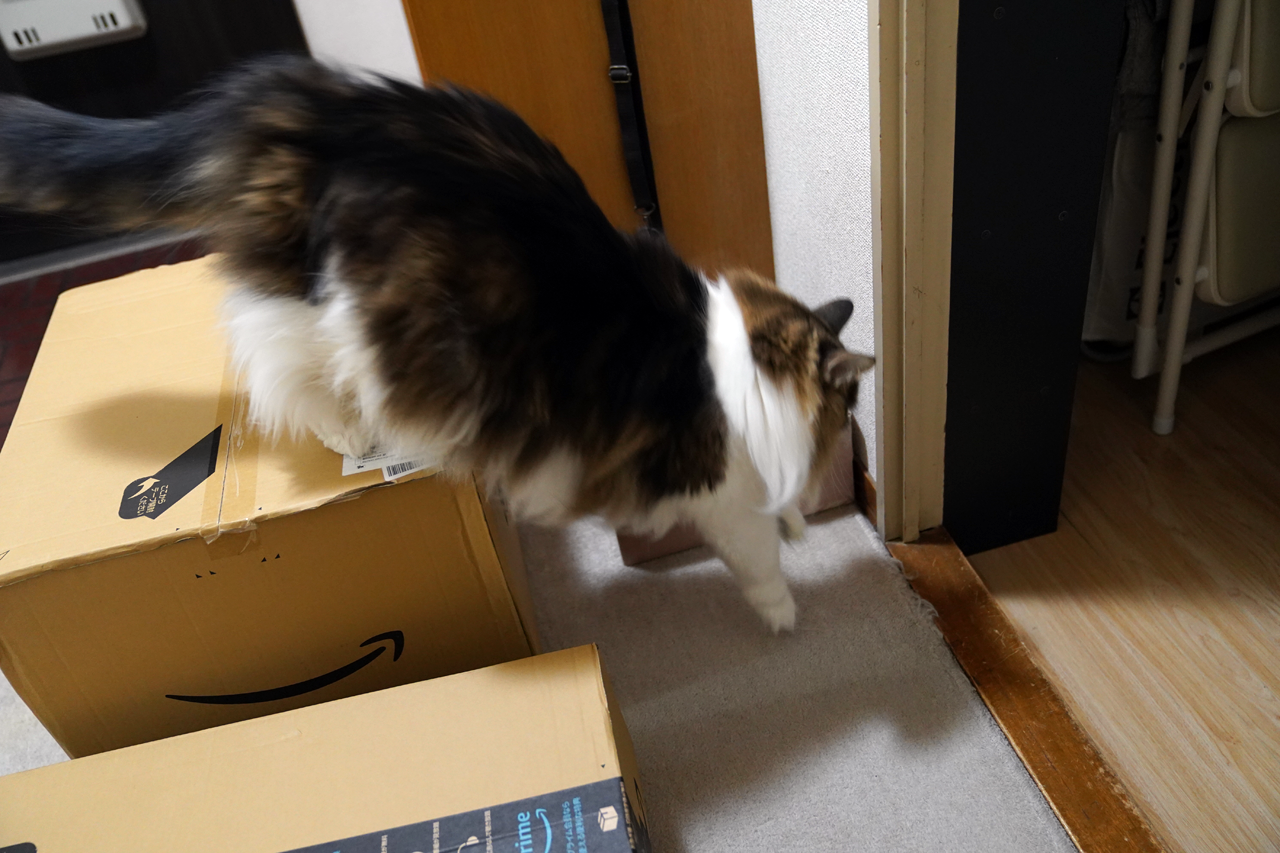f:id:kazuhiro0214:20211203233504p:plain